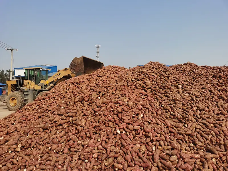 200g Bag Sweet Potato Glass Noodles
